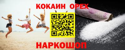 крисы Моздок