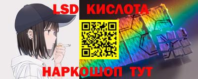 крисы Моздок
