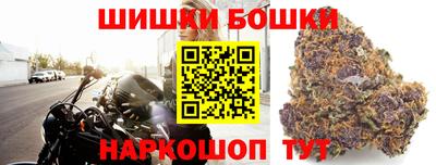 крисы Моздок