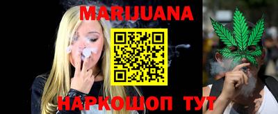 крисы Моздок