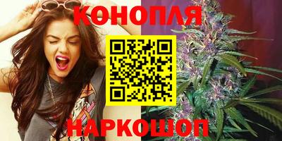 крисы Моздок