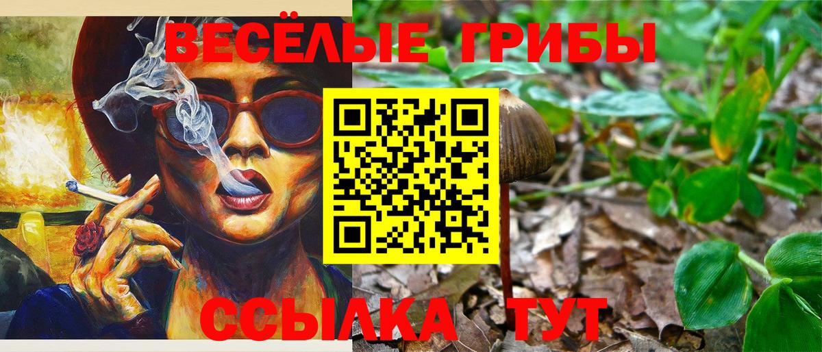 Псилоцибиновые грибы мухоморы Элиста